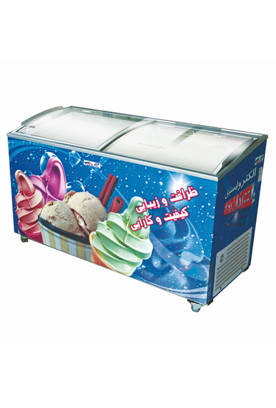 Large cold flower refrigerator and freezer