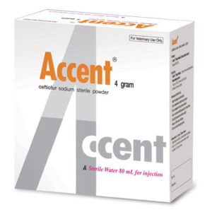 اکسنت® | ®Accent