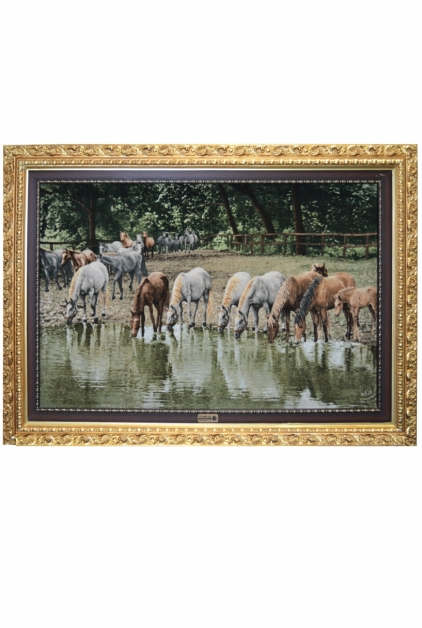 گله اسب کنار برکه