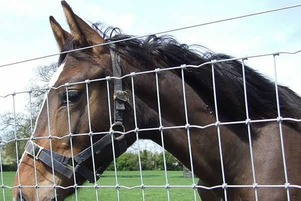 HORSE MESH FENCING - WIRE PANELS WOVEN / WELDED
