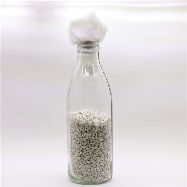 Spawn mother button mushroom