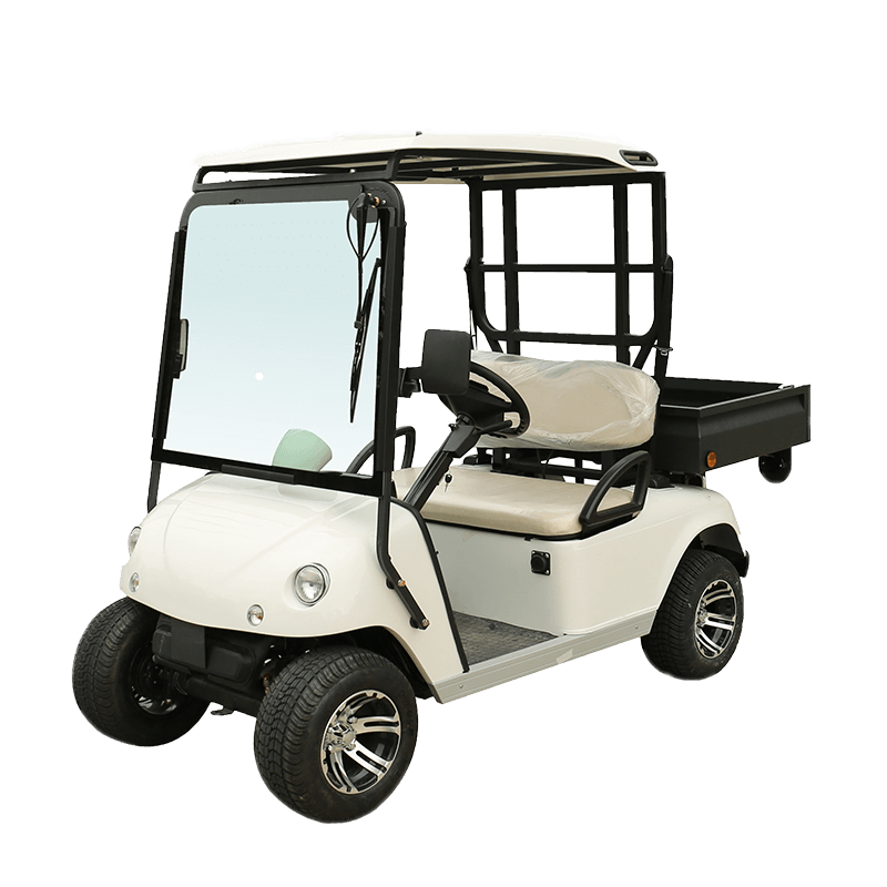 Electric Golf Cart DU-C2