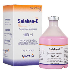 سلبن – ای | Seleben- E