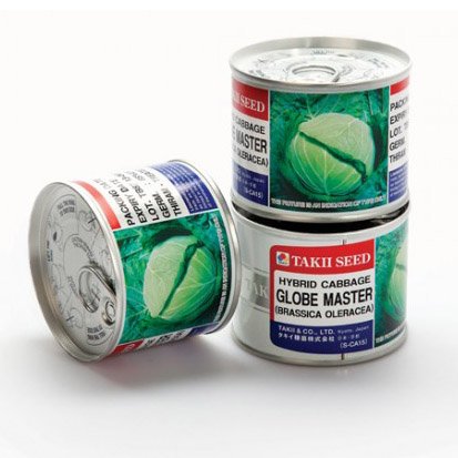 بذر کلم پیچ گلوب مستر تاکی