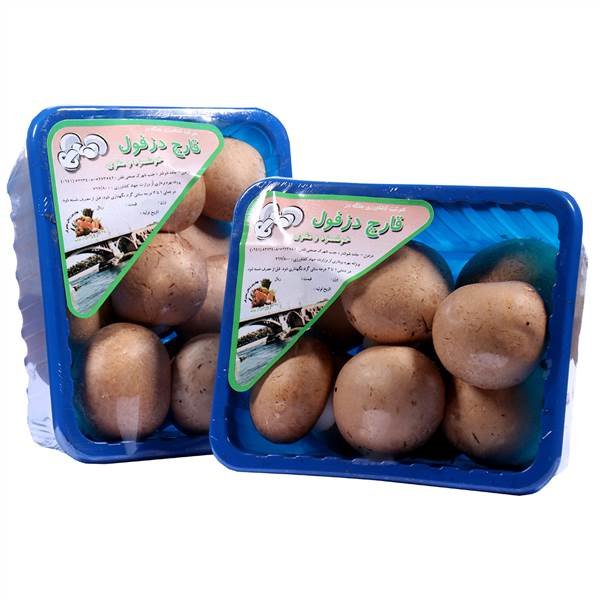 قارچ ۲۵۰ گرمی قهوه ای