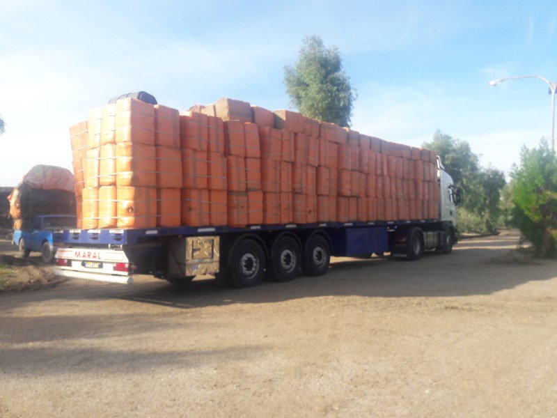 Processed dry bagasse block