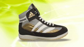 بسکتبال جی ان اس تزریقی