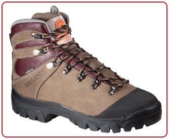 مدل دالامپر