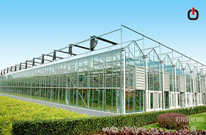 سازه گلخانه