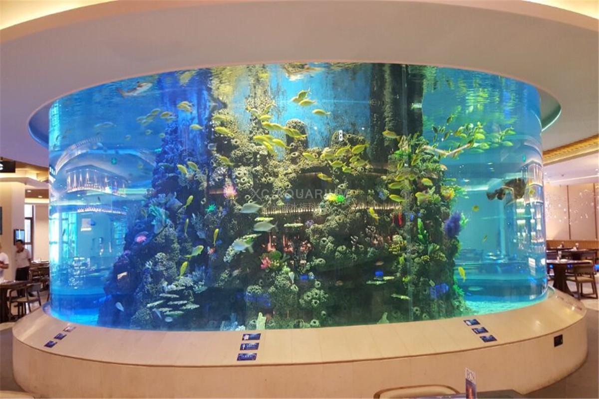 acrylic cylinder aquarium