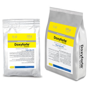 داکسی فورت رویان® | ®Doxyforte Rooyan