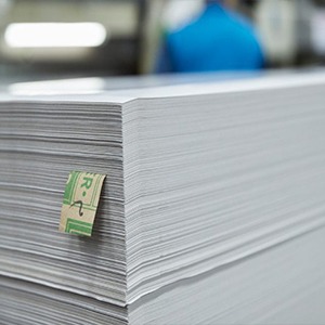 مقوای پشت طوسی