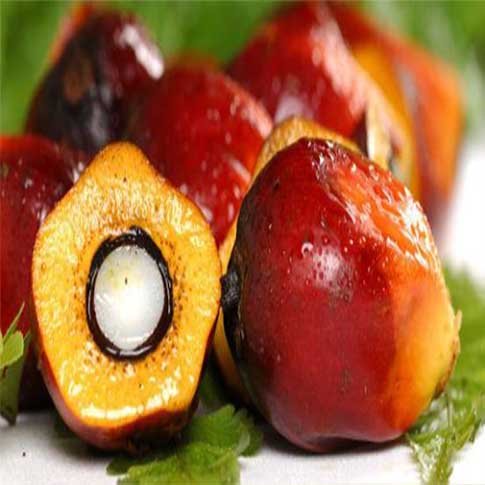 اسید استئاریک