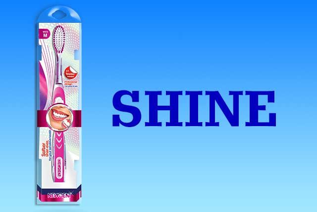 Cheyenne adult toothbrush