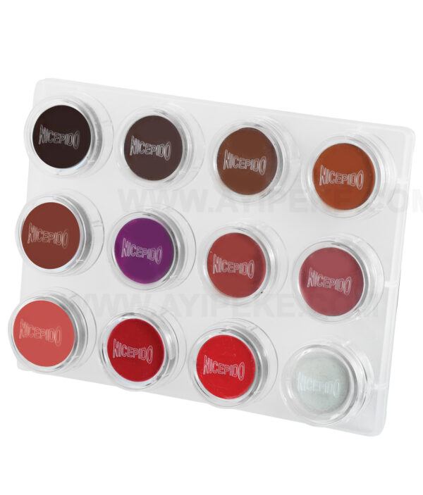 پالت 12 رنگ رژلب نایسپیدو