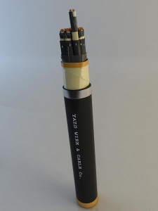 معمولی با شیلد زوجی و کلی