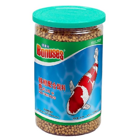 غذای تقویت کننده رنگ کوی