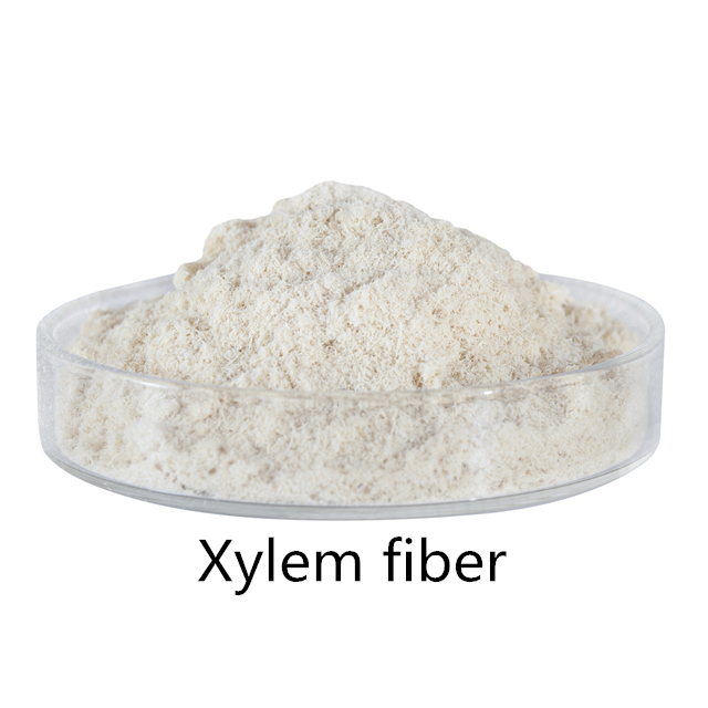 Xylem fiber
