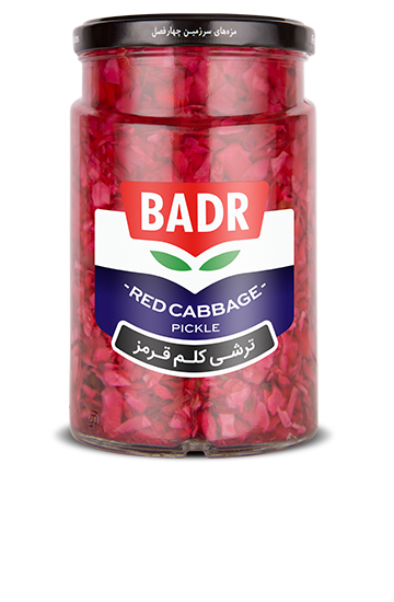 ترشی کلم قرمز