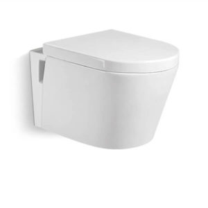 Wall Hung Toilet
