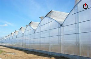 پوشش گلخانه