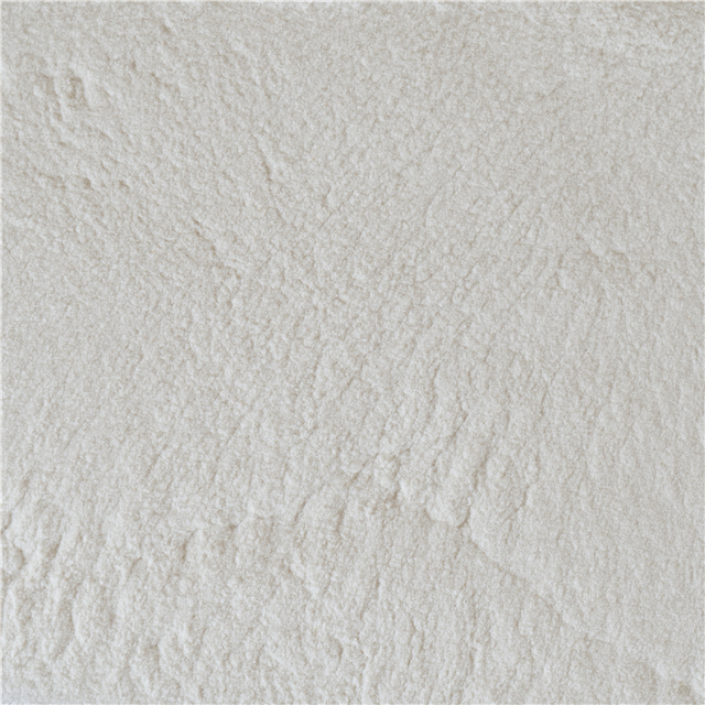 Pregelatinized starch