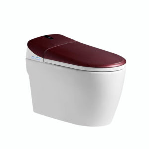 Intelligent Toilet