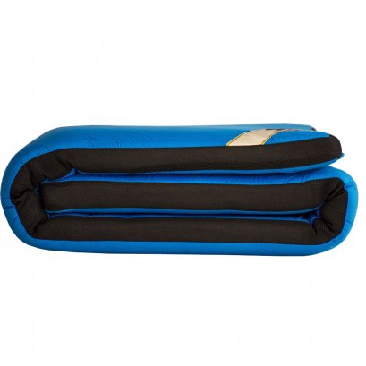 تشک سبک سالی