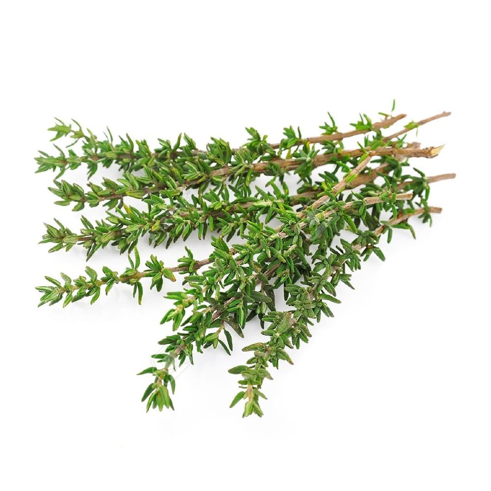 آویشن شیرازی