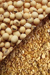 کنجاله سویا