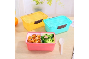 2 Compartments Bento Lunch Box with Lid and Spoon