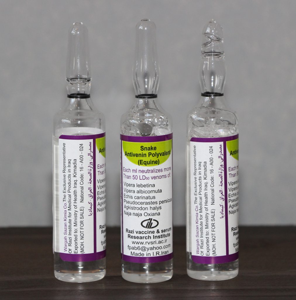 Snake Antivenin Polyvalent (Equine)