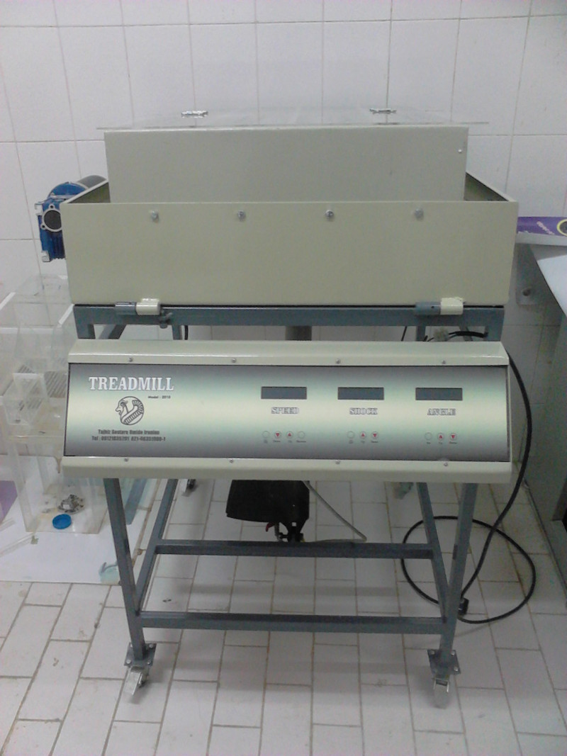 دستگاه تردمیل (Tread Mill 2021.PN)