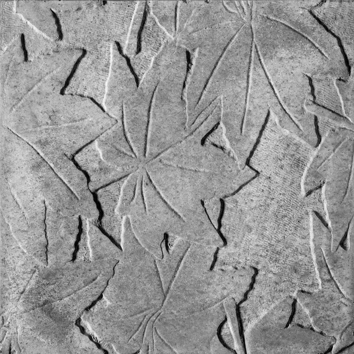 موزاییک محوطه سازی و پارکینگ F5