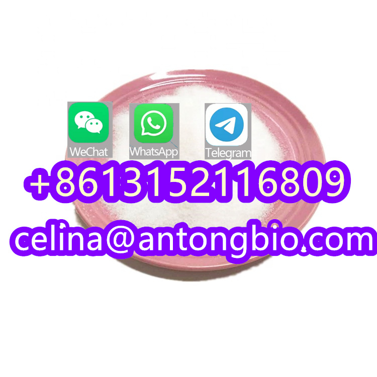 Best Dimethocaine CAS:94-15-5