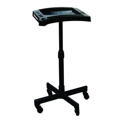 ترولي رنگ حرفه ايي