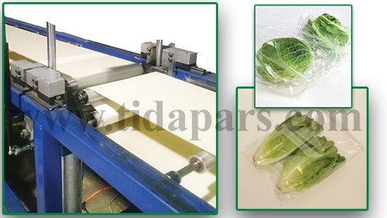 Agricultural products packaging machine
