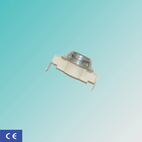 ترموستات 2 فیش فابریک قطع