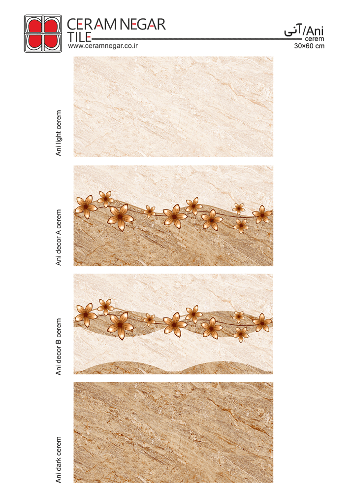 ani 30×60 cream shiny