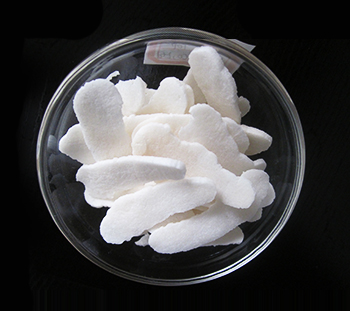 Chloroprene Rubber(CR244)