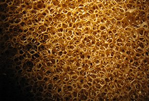 فیلترهای اسفنجی با مش بندی متنوع