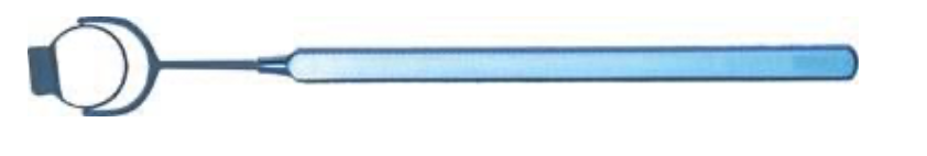 LASIK Hinge Protector Fixation Ring