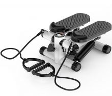 Household Multifunctional Twister Stepper