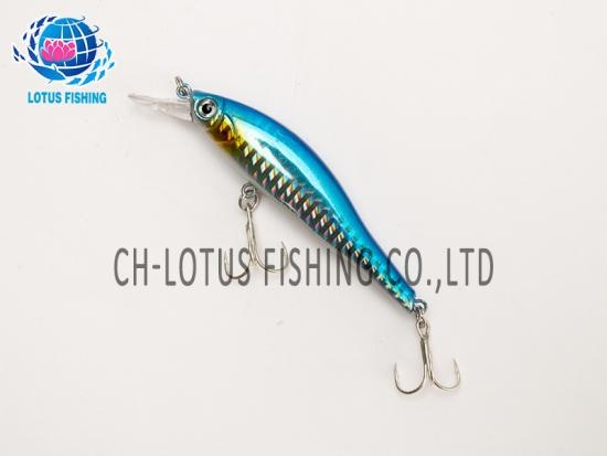 Various Fishing Lures
