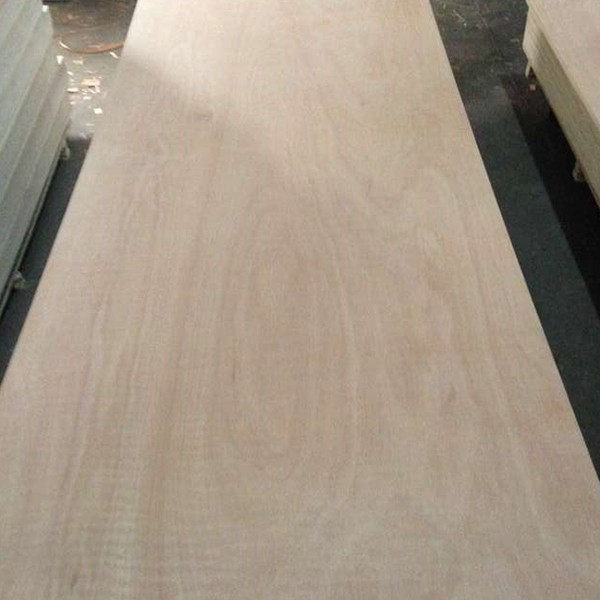 door skin plywood (1)