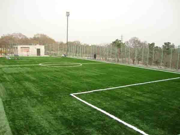 چمن مصنوعی پارک افرا