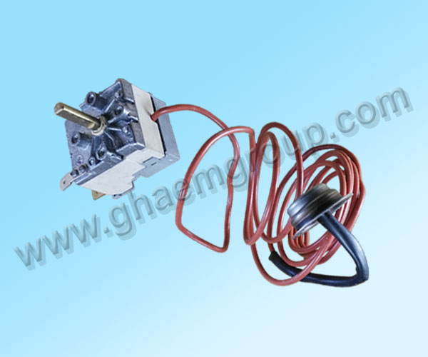 ترموستات گازی – [12372]