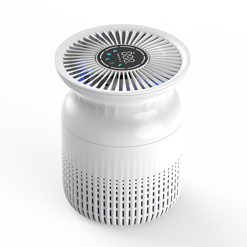 Art Beauty Natural Affinity