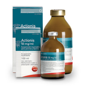 اکتیونیس | Actionis