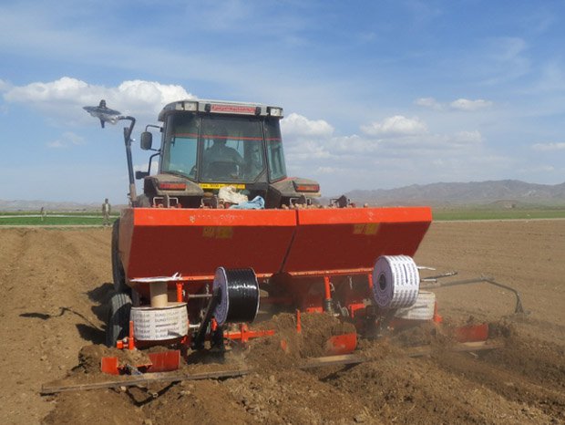 Potato Planter with Fertilizer Unit AB4-F-D50